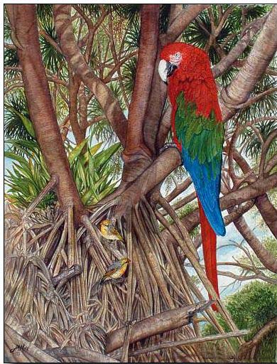 Animal oil painting