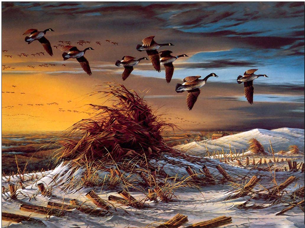 Animal oil painting