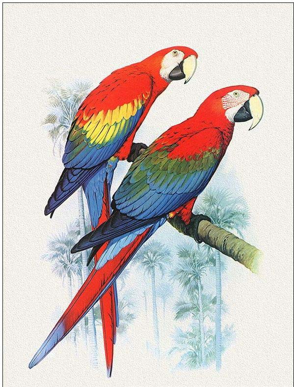 Animal oil painting