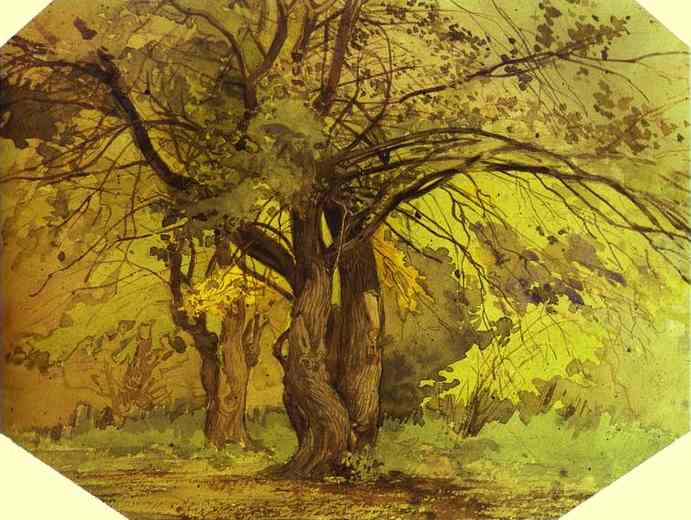 Oil painting:Trees.