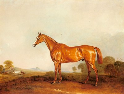 A Golden Chestnut Hunter In A Landscape