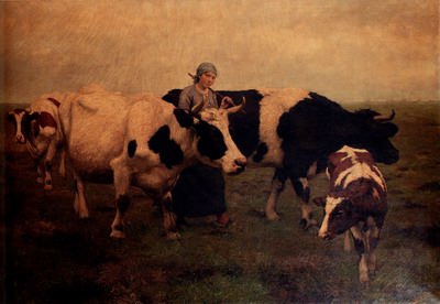 Dans Les Polders