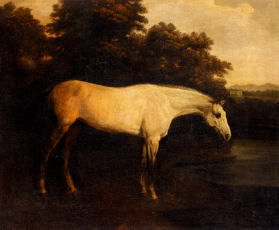 A Grey Hunter In A Landscape