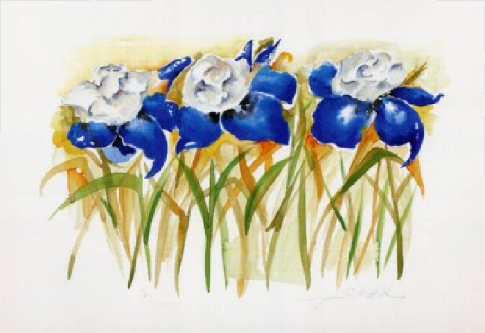 Iris Grandeur