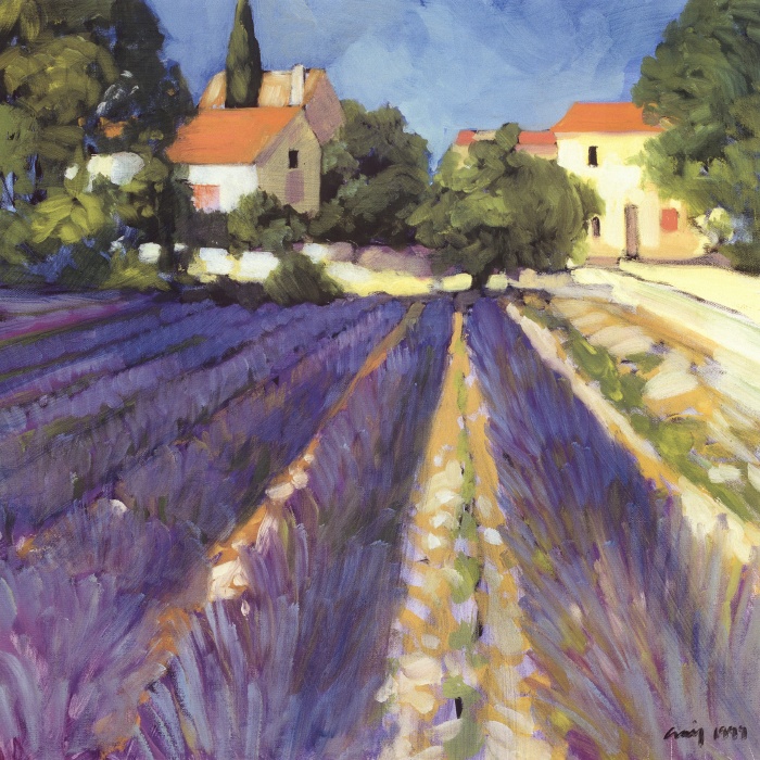 Lavender Fields