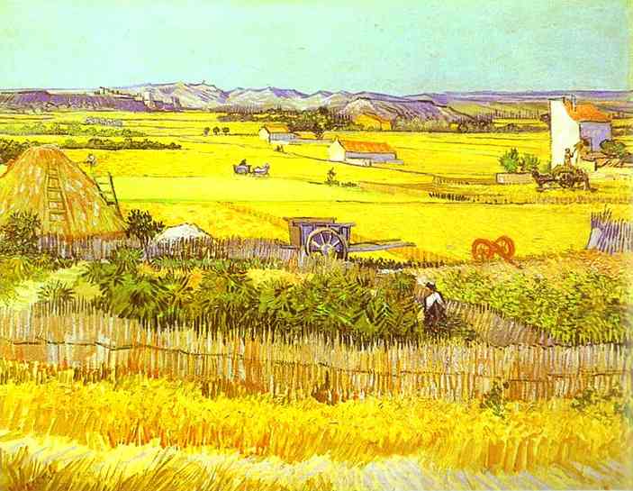 Harvest Landscape