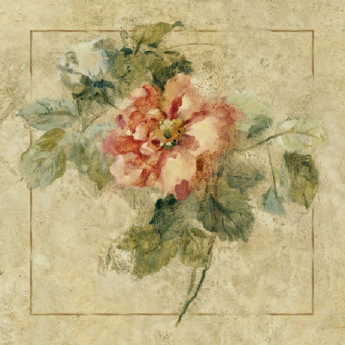 Provence Rose II