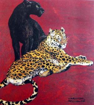 Jaguar and Black Panther