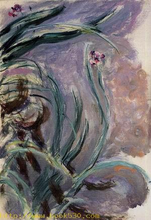 Irises3 1914-1917