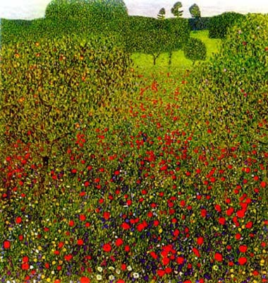 Mohnblumenfield