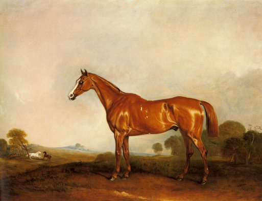 John Ferneley - A Chestnut Hunter in a Landscape