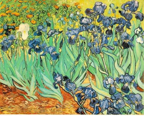 Vincent van Gogh - Irises