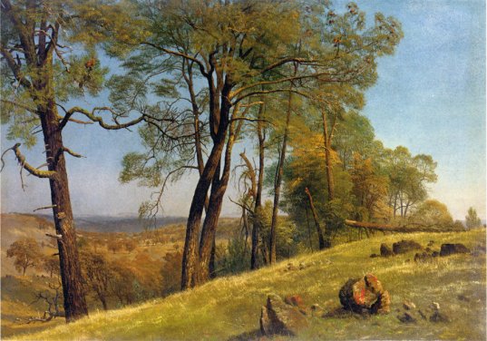 Albert Bierstadt - Landscape Rockland County California