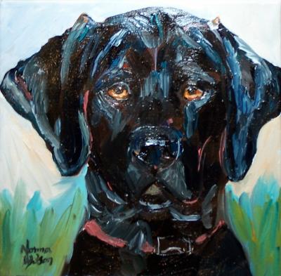 Norma Wilson Original Oil Black Lab Straight On