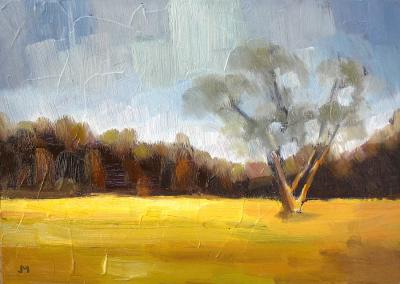 #146 Landscape Impression