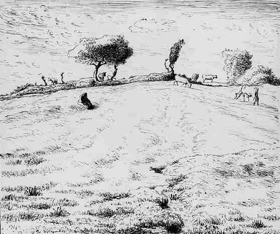 Landscape, Hillside in Gruchy, Normandy