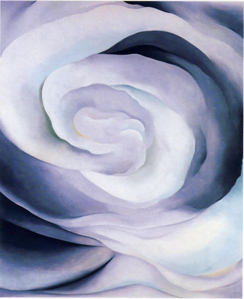 Abstraction, White Rose II