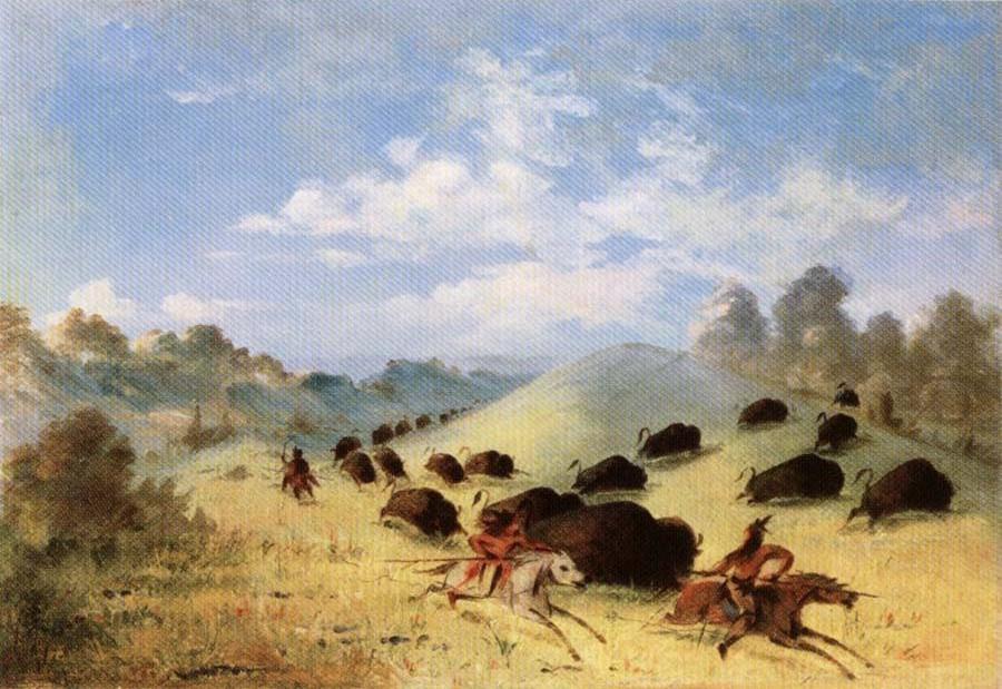 Comanche Indians Chasing Buffalo with Lances and Bows