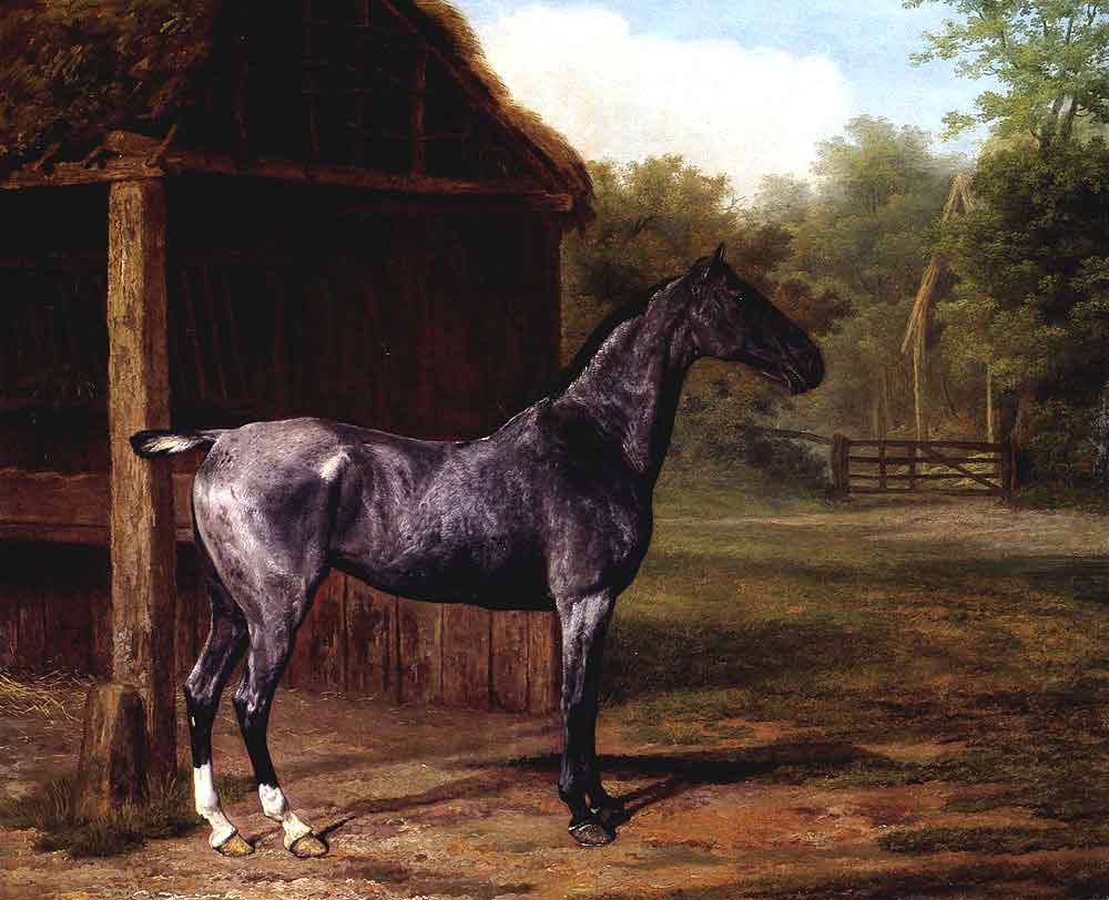 Mare in a Landscape