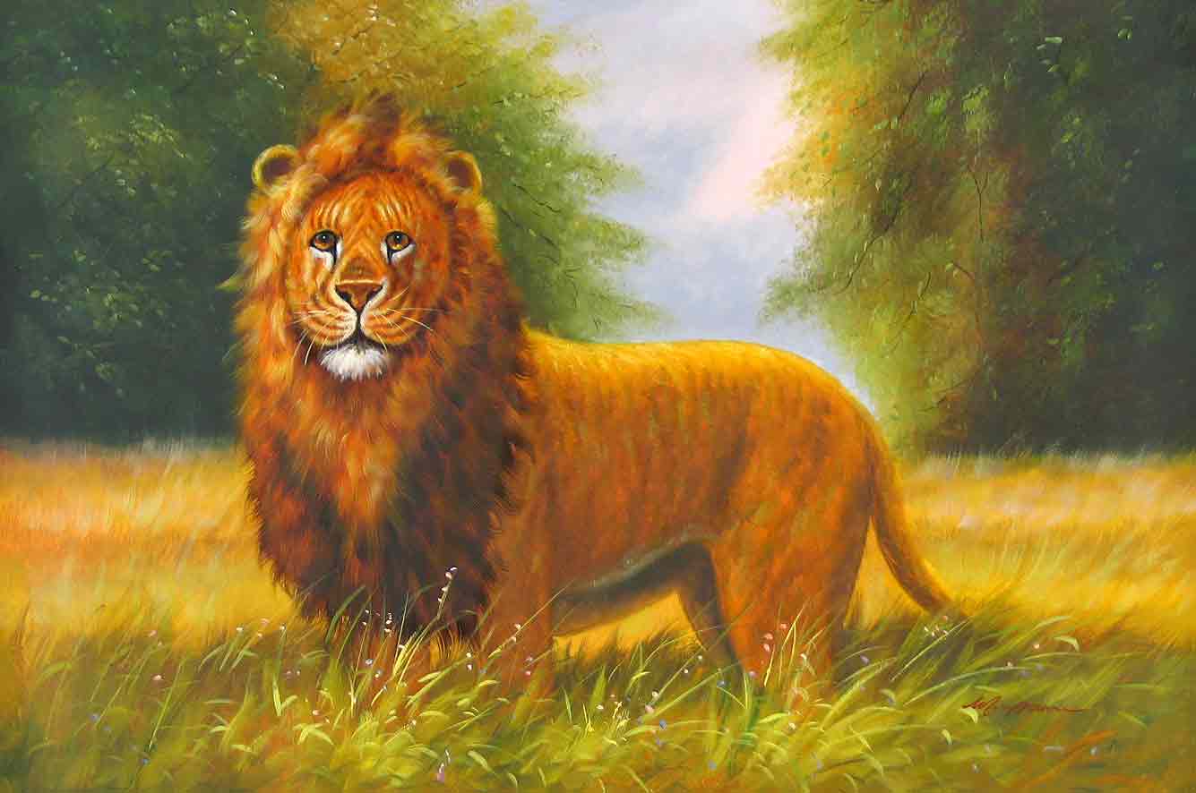 Lion King of the Jungle
