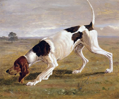 A Pointer in a Landscape