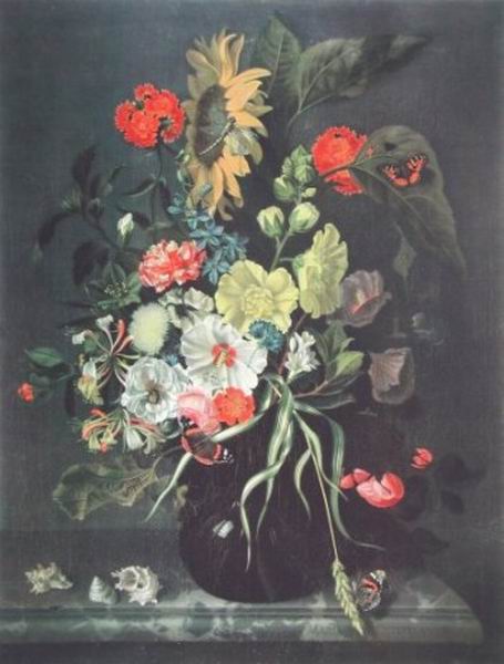 Flowers and Shells