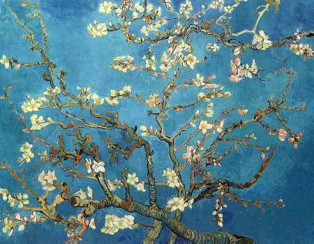 Almond Blossom