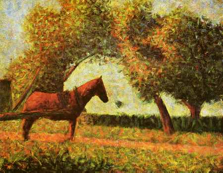 Horse