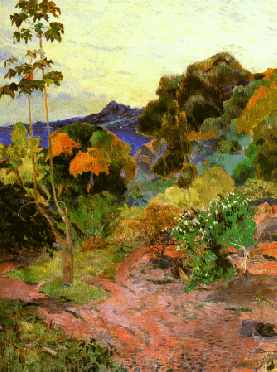 Martinique Landscape
