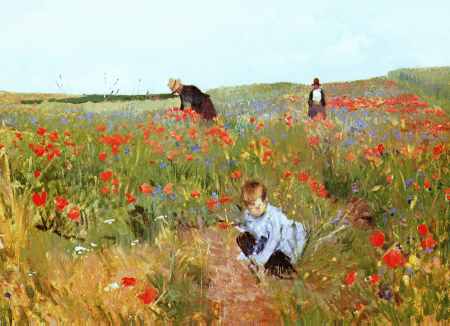 Poppies in a Field