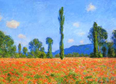 Poppy Field