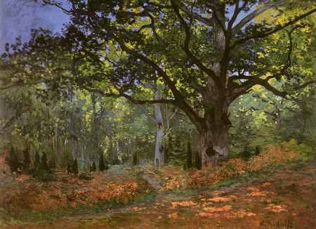 The Bodmer Oak, Forest of Fontainebleau