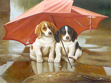 dogs-002