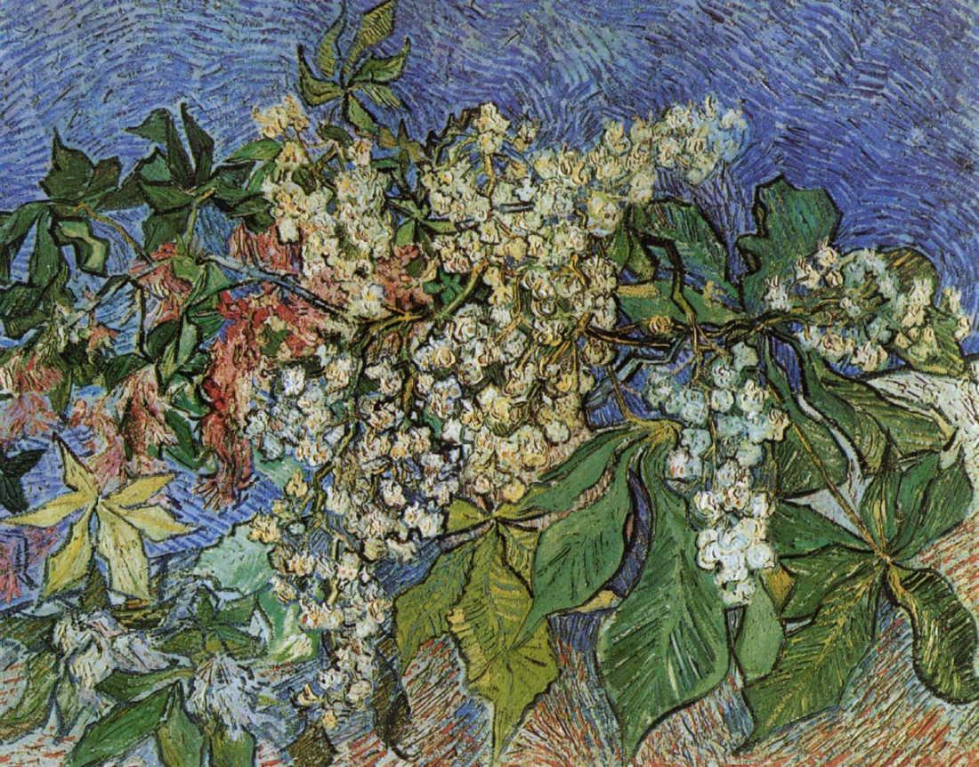 Blossoming Chestnut Branches
