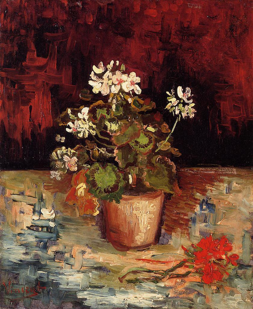 Still Life - Geranium in a Flowerpot