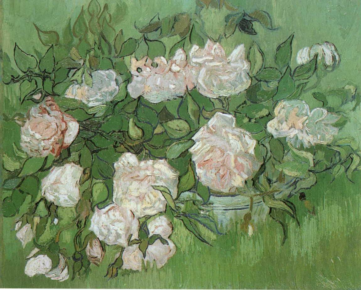 Still Life - Pink Roses