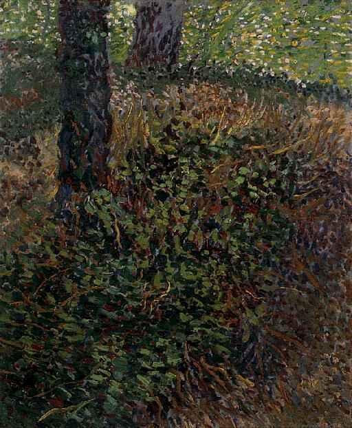 Undergrowth