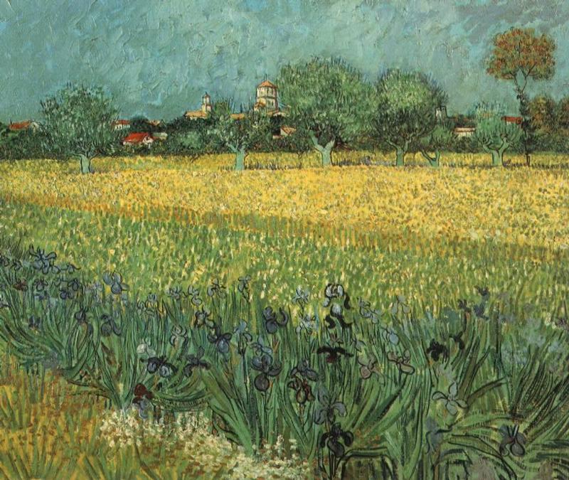View of Arles with Irises in the Foreground
