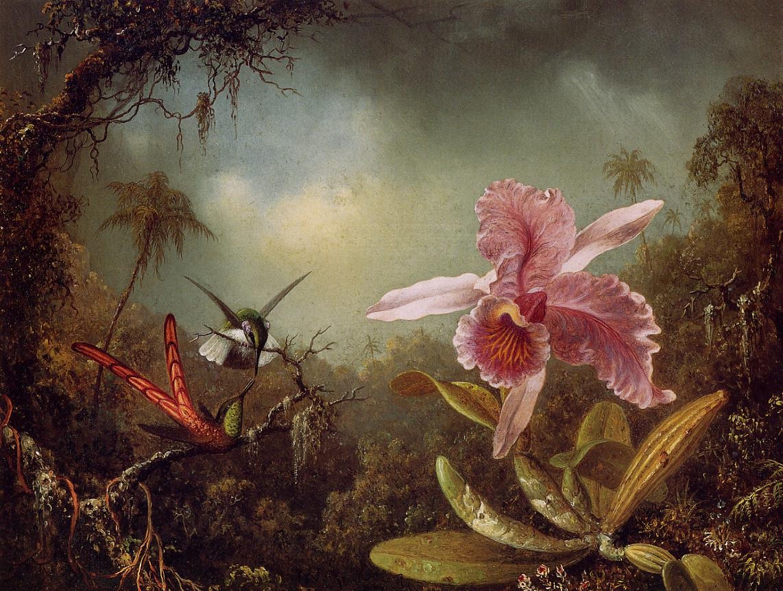 Orchid and Two Hummingbirds 1