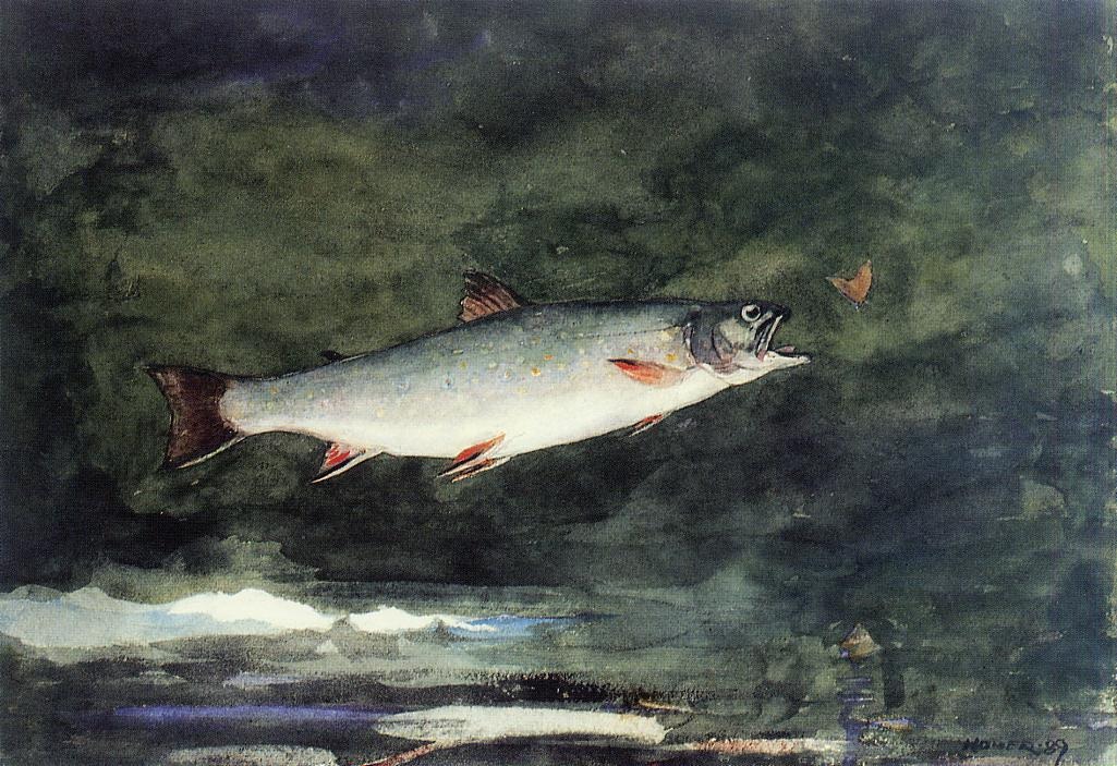 Leaping Trout 1