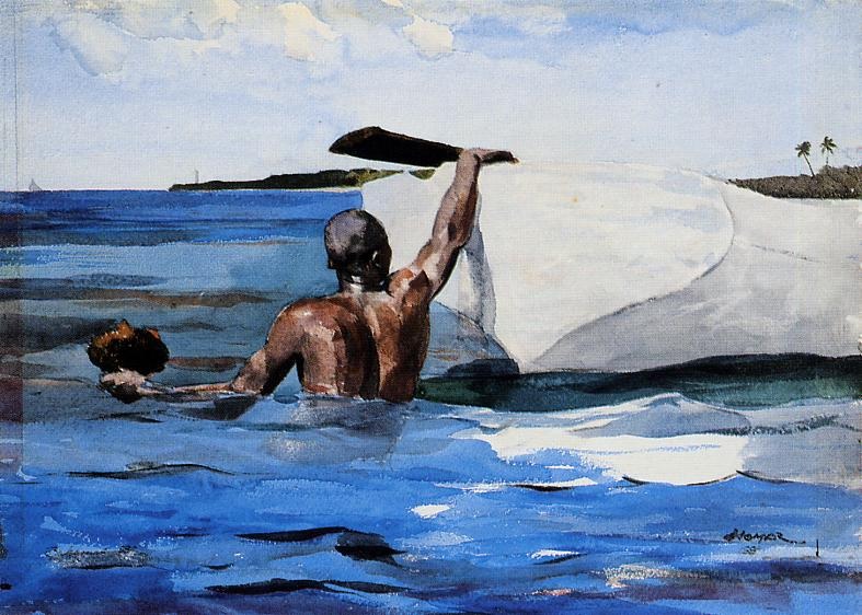 The Spong Diver