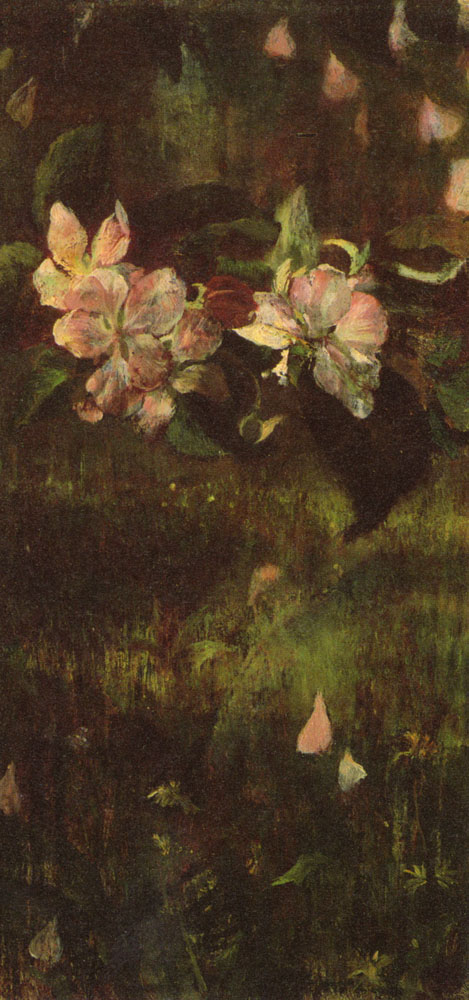 Apple Blossoms