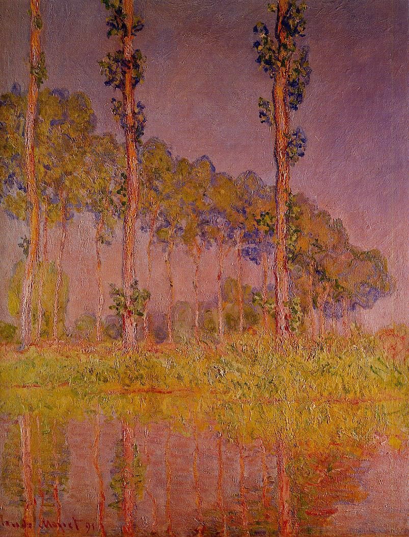 Poplars in Spring