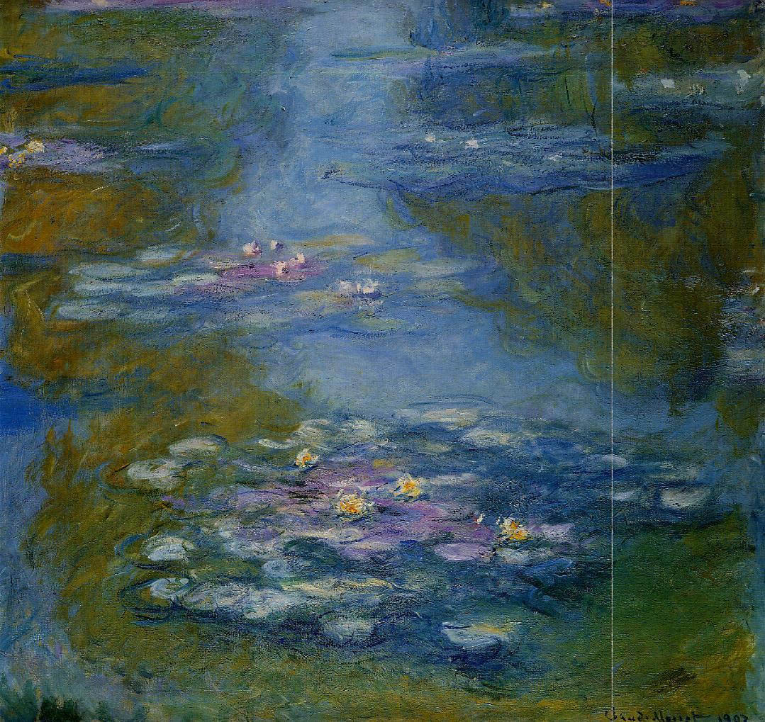 Water-Lilies 19