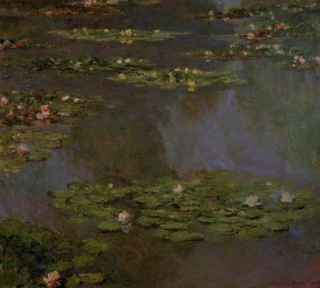 Water-Lilies 5