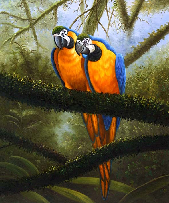 Macaw Mates