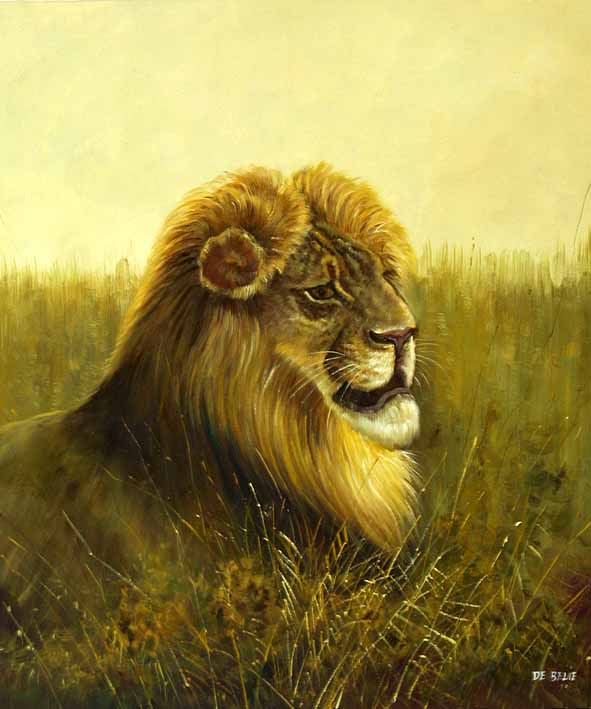 Lion Portrait