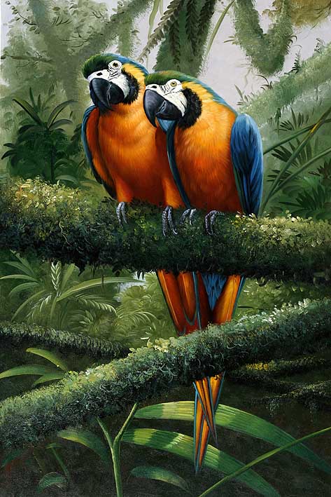 Macaw Mates