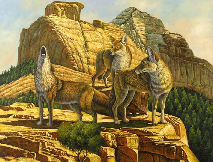 Pack of Jackals