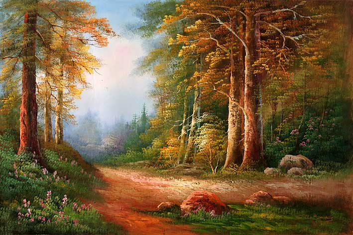 Path through Nature